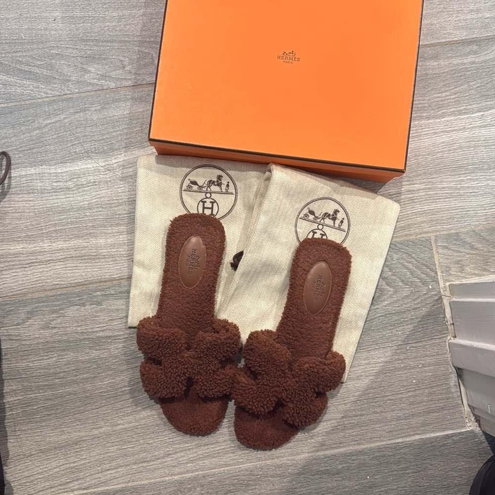 Hermes teddy orans
